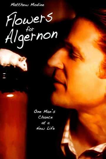 Flowers for Algernon Poster