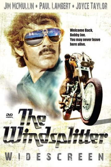 The Windsplitter