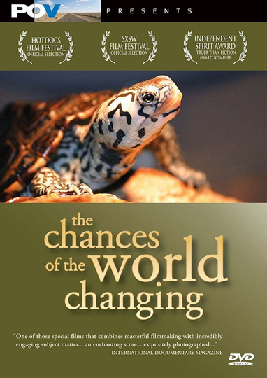 The Chances of the World Changing