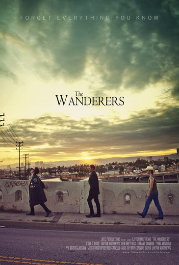 The Wanderers Poster