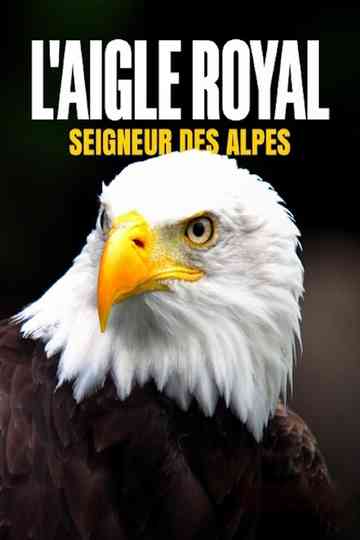 L'aigle royal, seigneur des Alpes poster