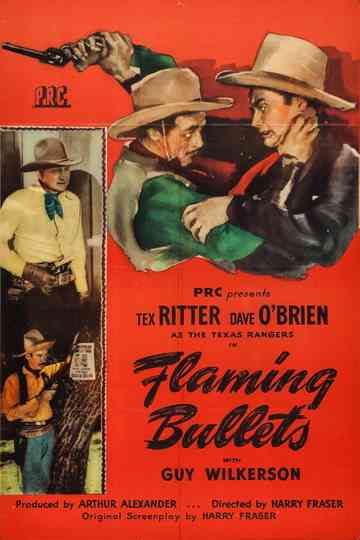 Flaming Bullets poster