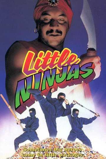 Little Ninjas poster