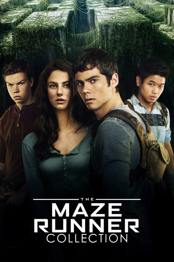 The Maze Runner (2014) - Movie | Moviefone