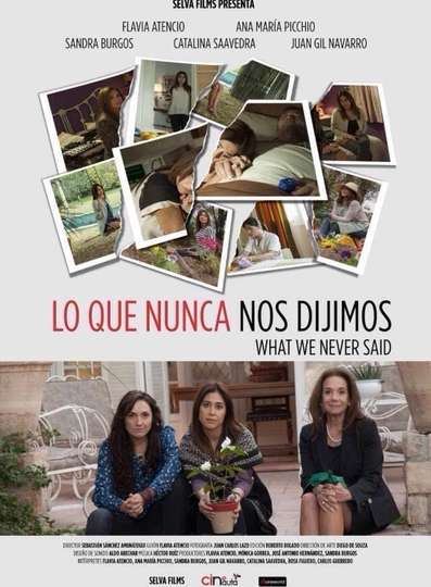What We Never Said Poster