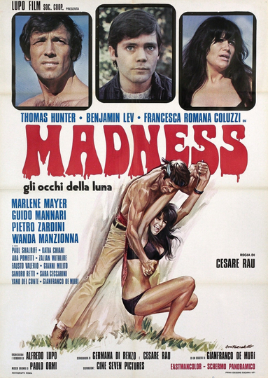 Madness Poster