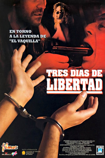 Tres días de libertad Poster