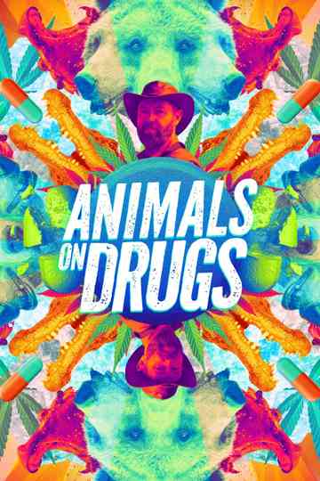 Animals on Drugs Poster