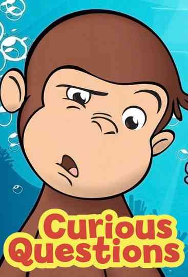 Curious Questions