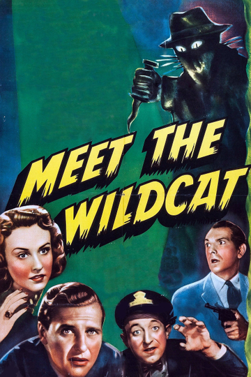 Meet the Wildcat