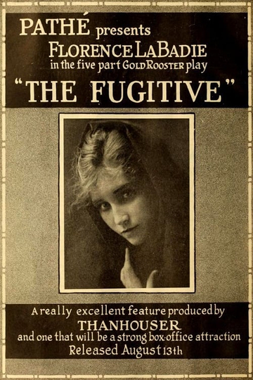 The Fugitive Poster