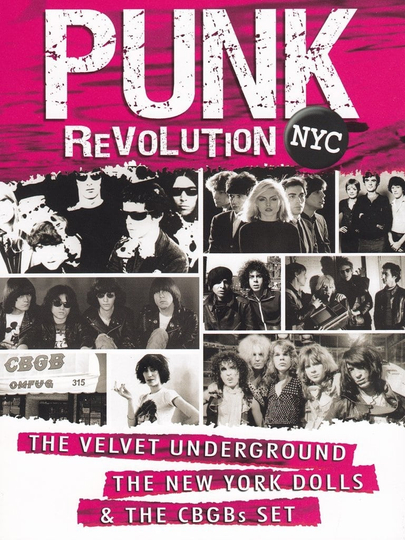 Punk Revolution NYC