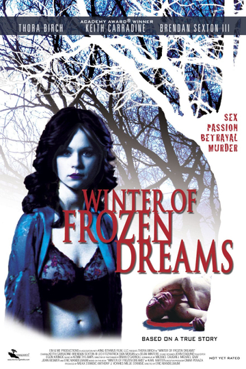 Winter of Frozen Dreams Poster