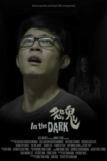 In the Dark