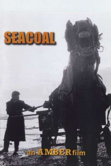 Seacoal Poster