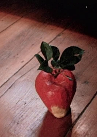 The Apple