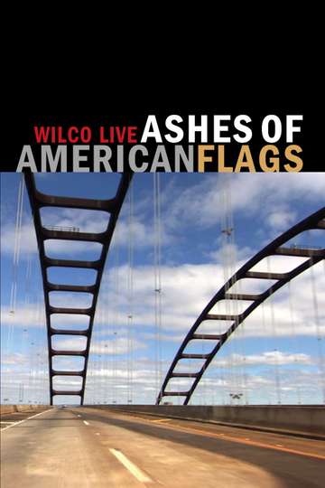 Wilco Ashes of American Flags