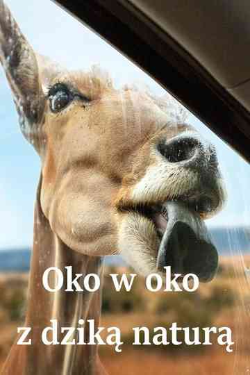 Close Encounters of the Wild Kind