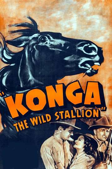 Konga the Wild Stallion