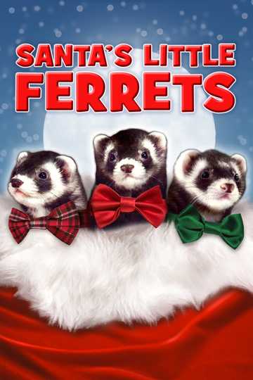 Santa's Little Ferrets Poster