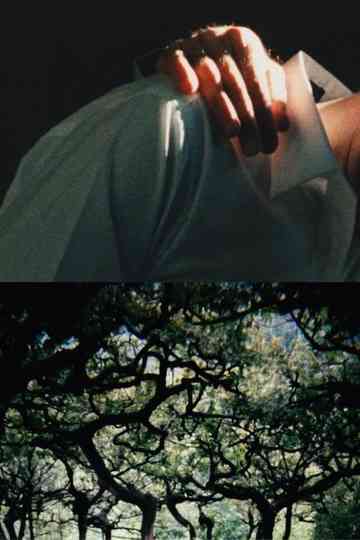 The Hedge Theater