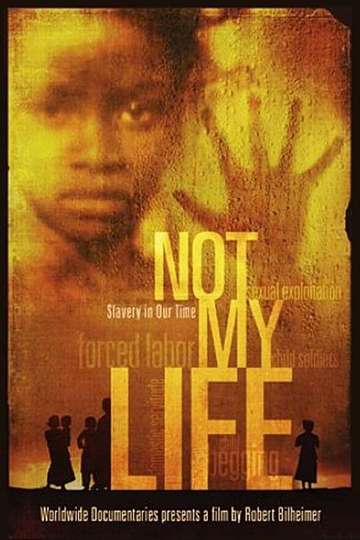 Not My Life Poster