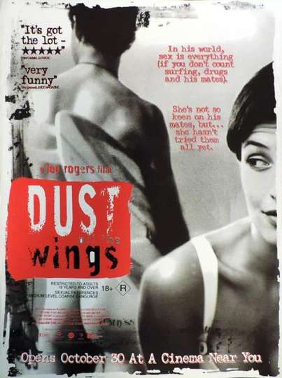 Dust Off the Wings Poster