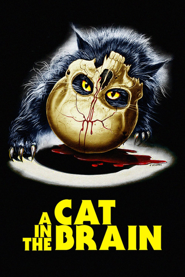 A Cat in the Brain Poster