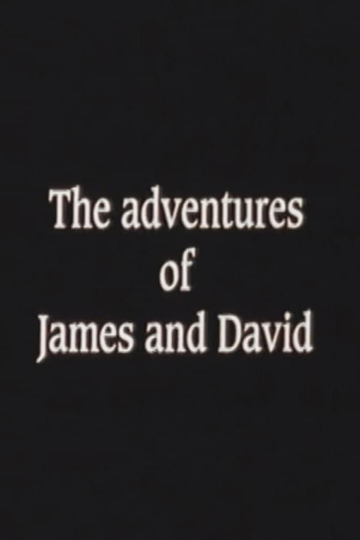 The Adventures of James and David Poster