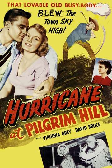 Hurricane at Pilgrim Hill Poster