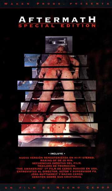 Aftermath Poster