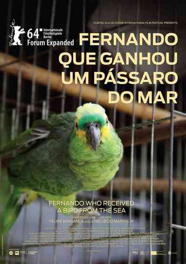 Fernando Who Received a Bird from the Sea