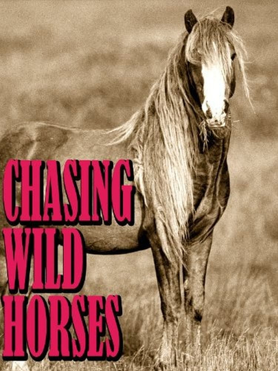 Chasing Wild Horses Poster