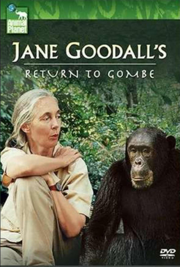 Jane Goodall's Return to Gombe