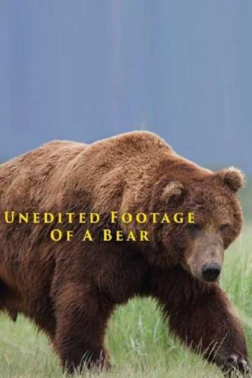Unedited Footage of a Bear Poster