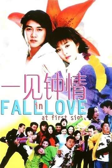 Fall in Love at First Sight Poster