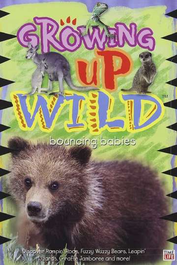 Growing Up Wild Vol 3 Bouncing Babies Poster