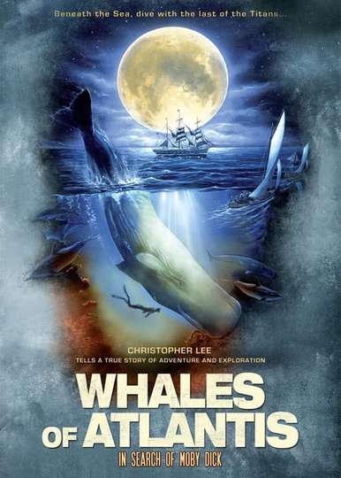 Whales of Atlantis In Search of Moby Dick