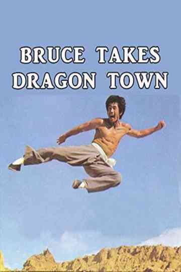 Bruce Takes Dragon Town Poster