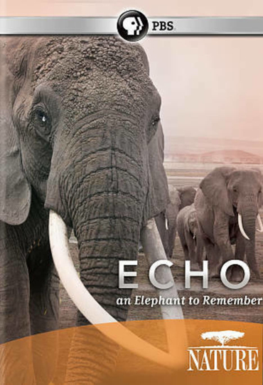 Echo An Elephant to Remember Poster