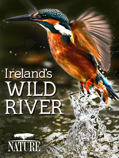 Irelands Wild River Poster