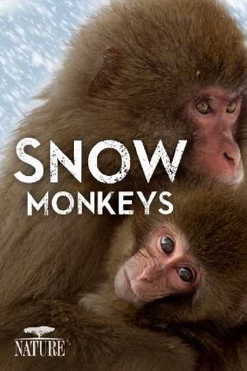 Wild Japan: Snow Monkeys