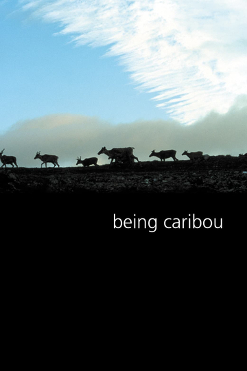 Being Caribou