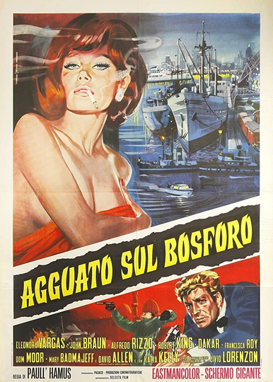 Agguato sul Bosforo Poster