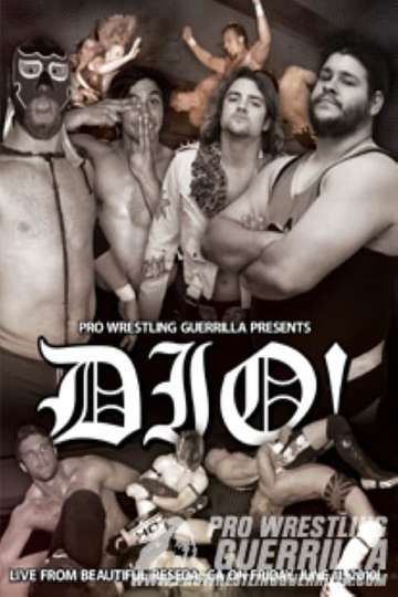 PWG DIO Poster