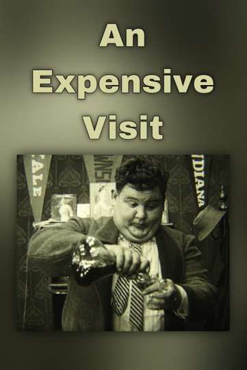 An Expensive Visit Poster