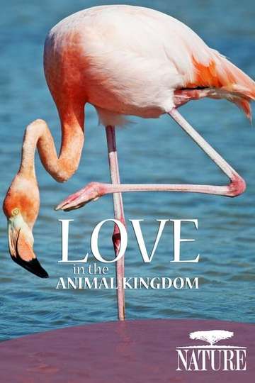 Nature Love in the Animal Kingdom Poster