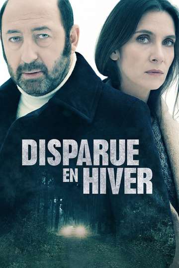 Disappeared in Winter Poster