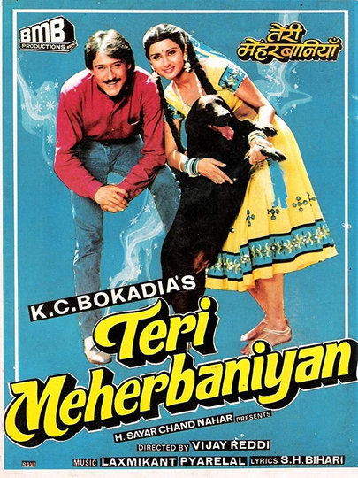 Teri Meherbaniyan Poster