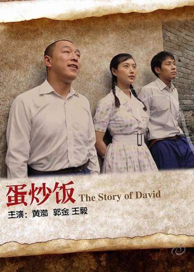 The Story of David Poster